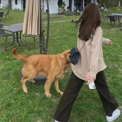 妖猫传